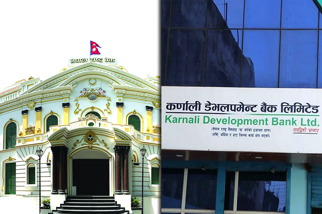 राष्ट्र बैंकले कर्णाली डेभलपमेन्टका ३५ शेयरधनीको शेयर १% मा झार्दै, अब चुक्ता पूँजी कति  घट्छ ?